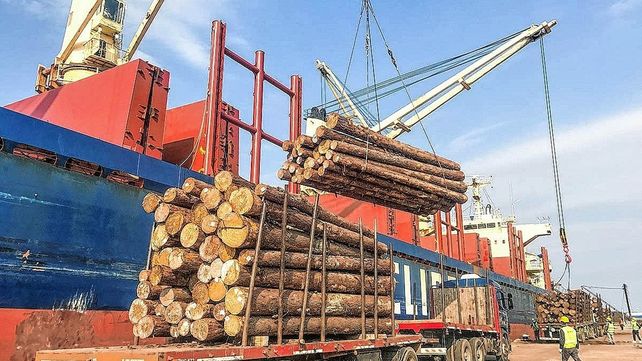 Los puertos de Entre Ríos se convirtieron en los principales puntos de salida de la Mesopotamia hacia mercados internacionales.