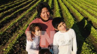 Producir y comercializar verduras, un desafío familiar