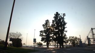 Comenzó septiembre con bajas temperaturas en la ciudad