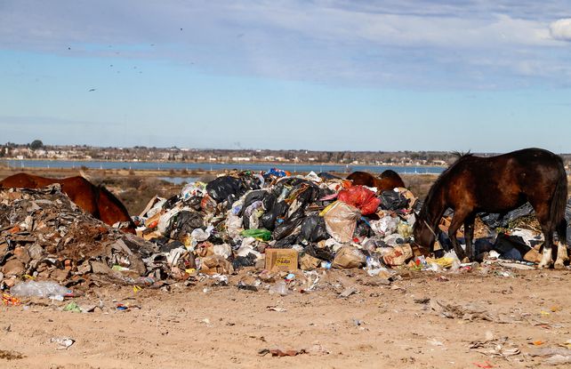 El plan nacional para erradicar basurales a cielo abierto beneficiará a 60 mil santafesinos