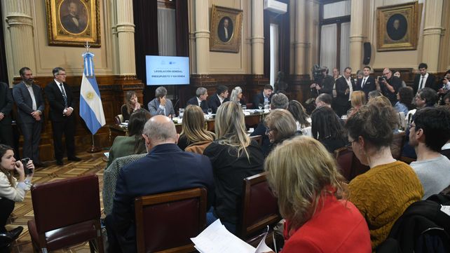Senadores escucharon a los expositores durante miércoles y jueves en el plenario de Legislación General y Presupuesto