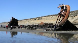 El hallazgo argentino que asombra a los científicos