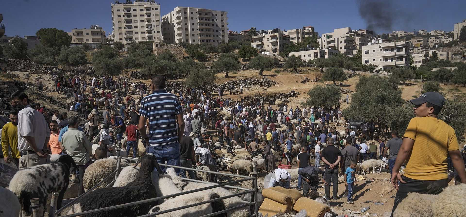 Palestinos venden animales en un mercado de ganado, la colectividad de Eid al-Adha se prepara para la festividad musulmana en la ciudad cisjordana de Belén, el lunes 4 de julio de 2022.