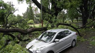 La Municipalidad recibió 1.100 reclamos por los daños causados por la tormenta de este miércoles.&nbsp;
