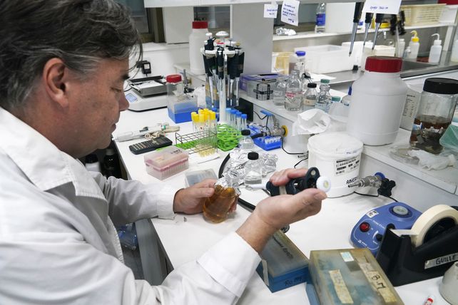 Innovación y soluciones. La ciencia básica se acerca cada vez más a los pacientes&nbsp;
