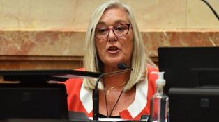“Entré en la categoría «vieja meada», que es lo más natural que dicen las huestes de Milei”, dijo Edith Terenzi.