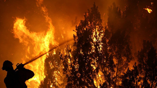 Chile: los incendios  no ceden y ya son 24 los muertos y  554 los heridos