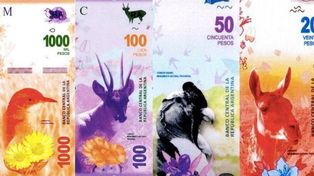 Los animales que reemplazan a los próceres en los nuevos billetes argentinos