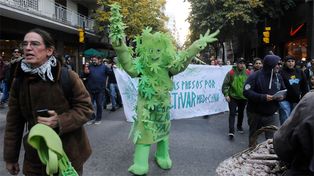 Especialistas de todo el país disertarán en Rosario sobre el uso medicinal de la marihuana