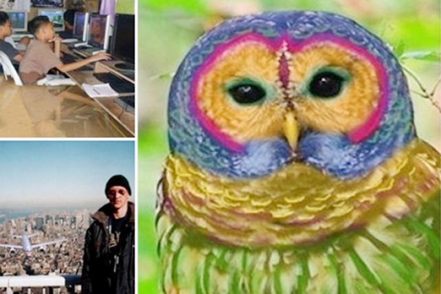 Diez fotografías falsas que se hicieron virales en Internet