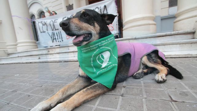 #NiUnaMenos