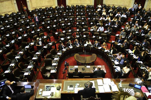 Diputados dio media sanción a la legalización del aborto