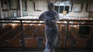 Si seguimos así, vamos a tener mil muertos por día, advirtió una médica rosarina