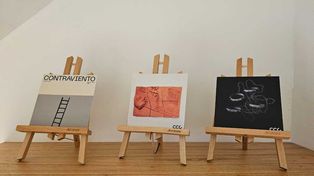 El Centro Cultural Contraviento pone el foco sobre un tema de máxima actualidad para los rosarinos.