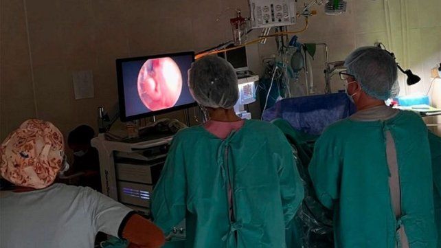 En Chajarí practicaron una inédita intervención quirúrgica.