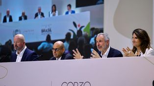 La ONU y la COP30, entre las expectativas y soluciones concretas