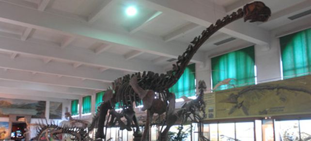 La megamuestra Dinosaurios: gigantes argentinos comenz&oacute; su gira por Europa
