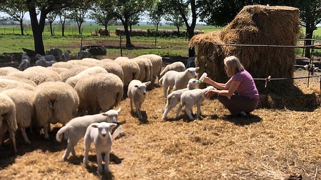 Silvia Schulz: La visibilización de la mujer rural es clave
