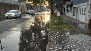 Sorrento y Pachecho, zona norte de Rosario. Dos ladrones se llevaron varios medidores y dejaron a varios vecinos sin servicio.&nbsp;