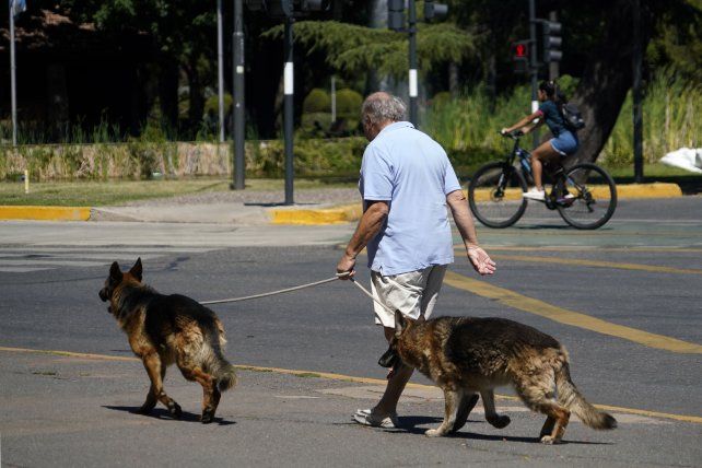 El tiempo en Rosario: arranca con calor una semana que no dará respiro