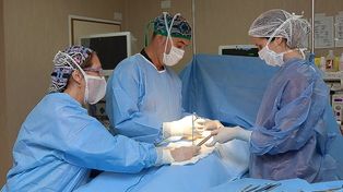 ABLACIÓN. El hospital San Martín es un centro de referencia en trasplantes.&nbsp;