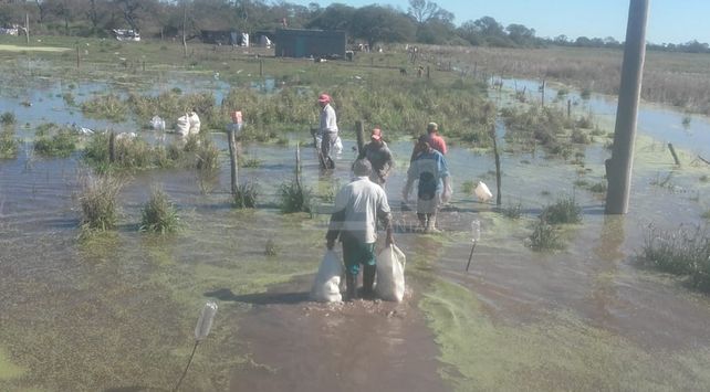 Sigue ingresando agua de Chaco y Santiago del Estero. Sigue ingresando agua de Chaco y Santiago del Estero.