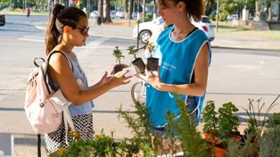 Quienes se acercaron este fin de semana a Cochabamba y Oroño y canjearon sus reciclabes se pudieron llevar, entre otras cosas, plantas aromáticas.