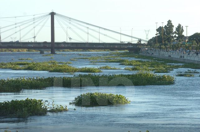El río Paraná sigue en bajante y 40 familias permanecen evacuadas