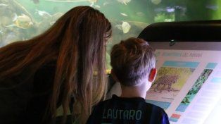 El Acuario definió su programación para recibir a niños y adultos.