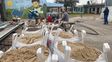 Comenzaron las obras de ampliación del taller de la Escuela Técnica de San Gregorio