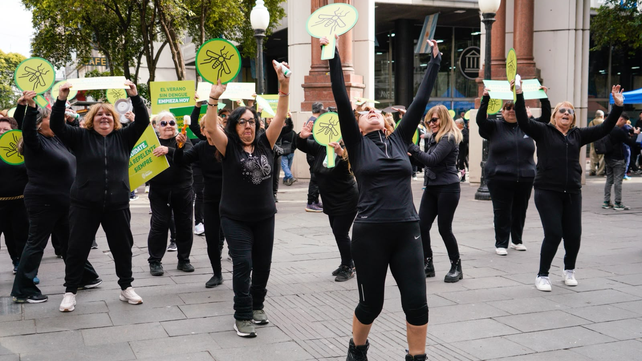 Dengue en Rosario: baile