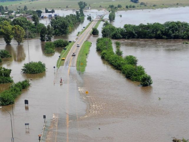 Declaran emergencia agropecuaria en 15 distritos del territorio bonaerense
