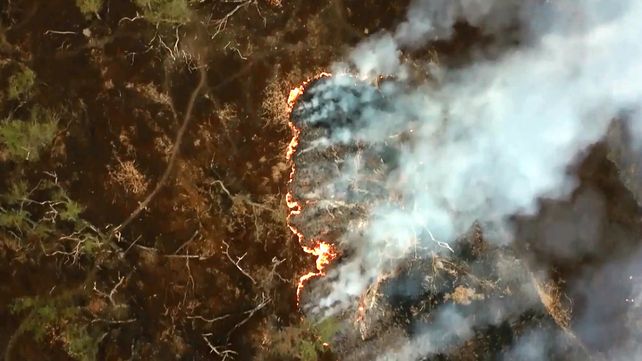 Una vista aérea de los incendios que destruyeron más de 400 mil hectáreas en el Delta del Paraná.