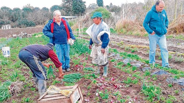 Horticultura. Las zonas de producci&oacute;n hort&iacute;cola est&aacute;n ubicadas cada vez m&aacute;s lejos de los centros urbanos