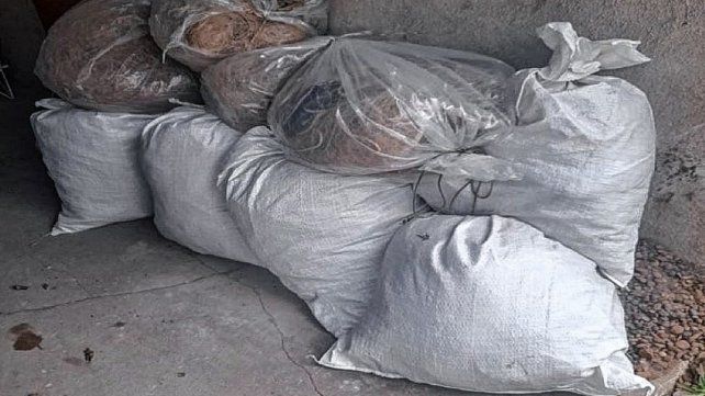 Secuestraron más de 800 metros de redes utilizados para la pesca ilegal.