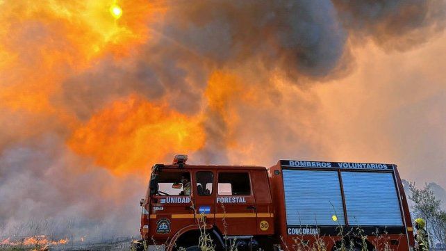 “El 95% del fuego de acá son por causas del ser humano.