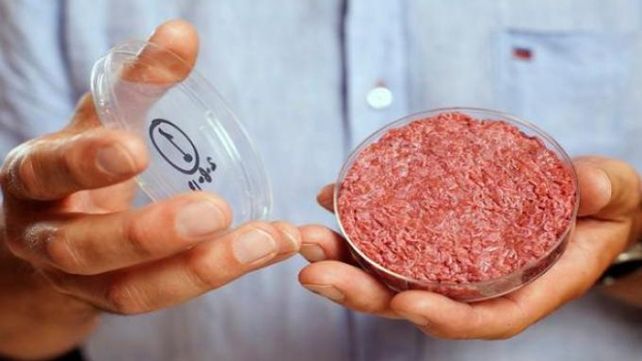 Hamburguesas  made in laboratorio