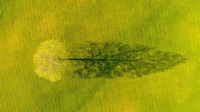 Drone Awards 2020: las mejores fotos aéreas durante la pandemia