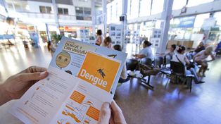 Dengue: el Municipio informa a los viajeros sobre las medidas de prevención