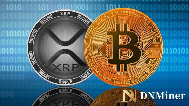 Minería en la nube DNMiner: te ayuda a dominar las estrategias de inversión en XRP, ADA y SOL
