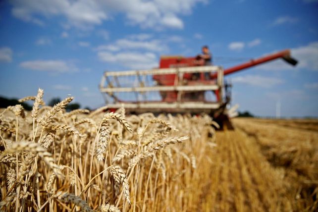 La industrialización del cereal presentó “importantes mermas en la molienda desde el mes de noviembre”