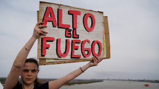 Donde hubo quemas después hubo agricultura intensiva y ahora un juez permite sacar la cosecha.&nbsp;