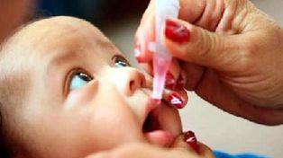 Por la polio, la OMS decretó la emergencia sanitaria mundial