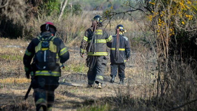 Bomberos santafesinos sofocaron un incendio forestal a metros de la ruta 168 este martes.