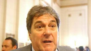 Rubeo: Binner defiende a las corporaciones