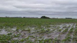 Las reservas hídricas en niveles óptimos y preven impacto positivo del fenómeno de El Niño