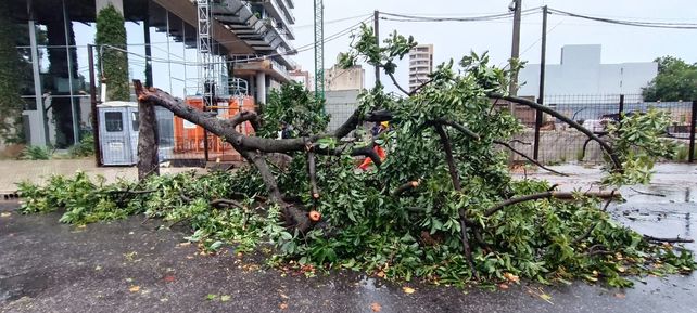 El temporal en Rosario dejó casi 70 reclamos por distintos incovenientes