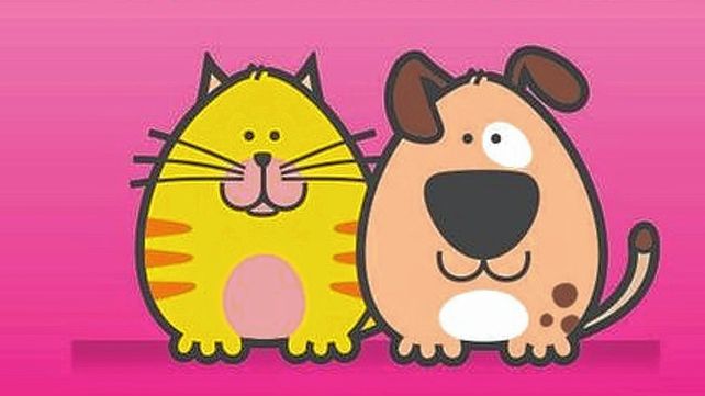 Vacunación mascotas