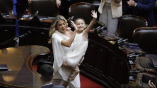 Una diputada santafesina cruzó a Virginia Gallardo por su ropa en la asunción