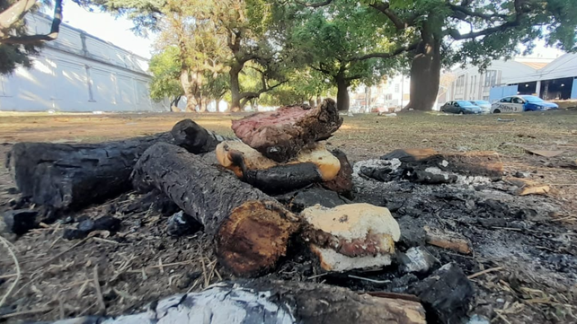 Restos de una gran fogata para hacer un asado sobre avenida Pellegrini.